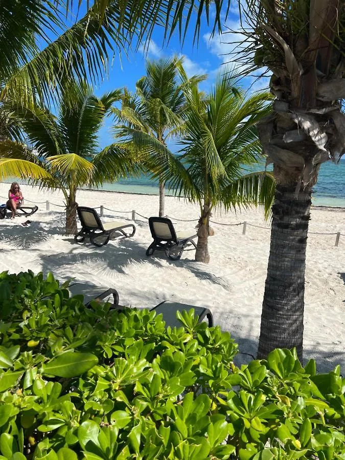 Beachfront Loft Amara Cancun Lägenhet